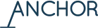 Anchor Capital wealth partner